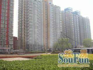 东铁营横一条实景图