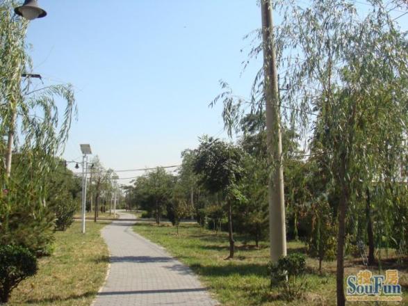 南口村社区实景图