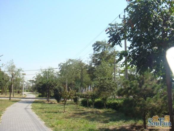 南口村社区实景图
