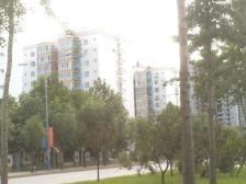 汇统花园 3室1厅 南 北