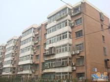 双桥小区南北通透四居大复式满五唯一业主诚意出售