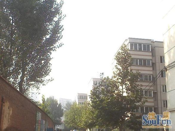 工业南路小鸭宿舍实景图