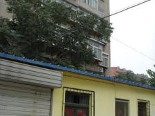 稻香小区 2室0厅 南