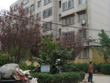 房子户型好 楼层好 采光好 随时看房