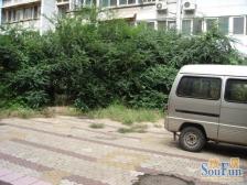 师范小区3室2厅东西