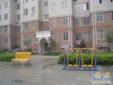 航海路二环内 地铁口牧歌外国语旁 朝东精致双气一居室