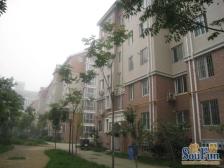 航海路未来路 二环内 门口牧歌 满五唯一 业主诚售