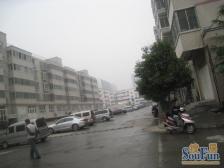 未来路与石化路口 多层社区 多层 单价五千 诚心出售