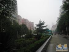 满五年,一层3户朝南,公摊低,大飘窗,小区新改造