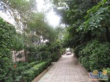 开元社区冉屯路五号院 3室1厅 南