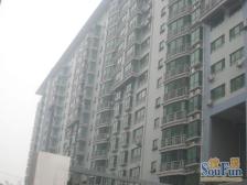 航海路未来路 一室一厅带80平露台