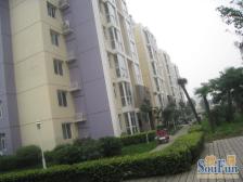 鑫苑城市之家电梯房,看房方便业主诚心卖