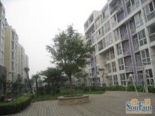 鑫苑城市之家 1室1厅 南 北