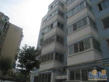 满五唯一 精装修 楼层好 视野开阔