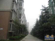 满五唯一低楼层双气标准一室一厅急卖价格好谈