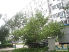 西湖春天 优质三房 多层南北通透 适用面积大