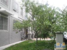 西湖春天 低总价 南北通透大两房 中间楼层 公摊小