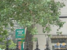 原田花园 4室1厅 南