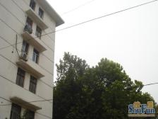 原田花园 2室1厅 南 北