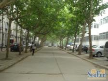 诚意出售 精装两居室 楼层采光无遮挡 看房方便