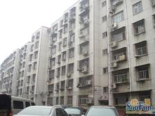 南北通透采光好,此房是一楼的,方正户型,双气