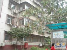 省SHI妍旁,多层大三房,公摊小,户型方正