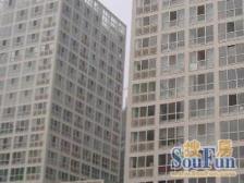 建外soho东区西南向采光景观比较好
