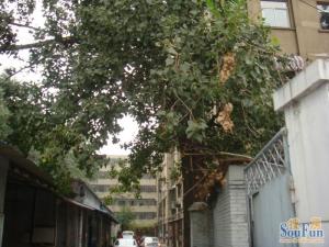 和平里·交林夹道·2室·1厅