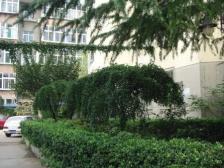 大院免费停车场 带地下室 院内有食堂 卫生间带窗