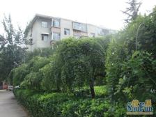 店长主推济大路一号省财政厅好房出售好楼层地段环境好