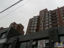 兴华园 3室1厅 南 北