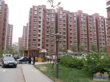 兴华园 3室1厅 东南