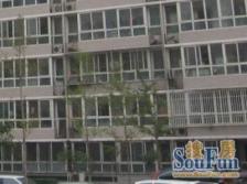 西宏苑3室1厅南北