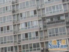 西宏苑2室1厅南北