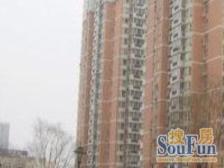 百环花园2室1厅西南