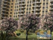 奥森公园西侧观景大复式五阳开泰看房方便