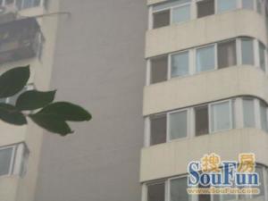 光华欣居3室1厅西