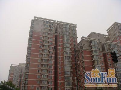 丽舍公寓商住楼实景图
