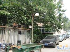 经十一育婴 马鞍山单位宿舍 一楼带院中式装修装修未住