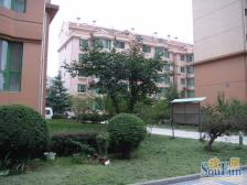 此房一梯两户小高层 带产权车位 单独大院