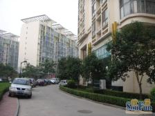 阳光新路东 建设路 世纪佳园 三室两厅 双气 精装修