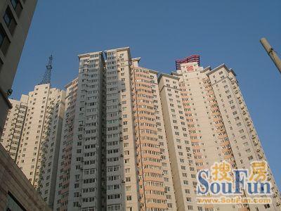 实景图