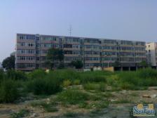 鼓楼东区 3室2厅 南 北