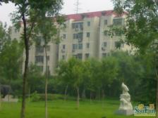 鼓楼东区3室2厅南北