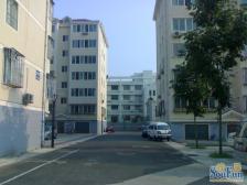 鼓楼东区 3室2厅 南 北