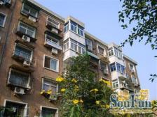 低楼层楼位好,采光好无遮挡有装修