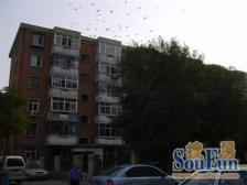 小海地·华江里·2室·1厅