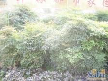 地铁口,刚需双气3房,成属社区,12年小高层,采光好