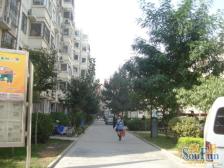 南阳路 地铁口 低楼层 单价低