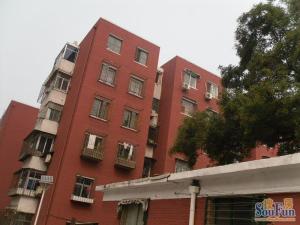 聪慧里 3室1厅 南 北